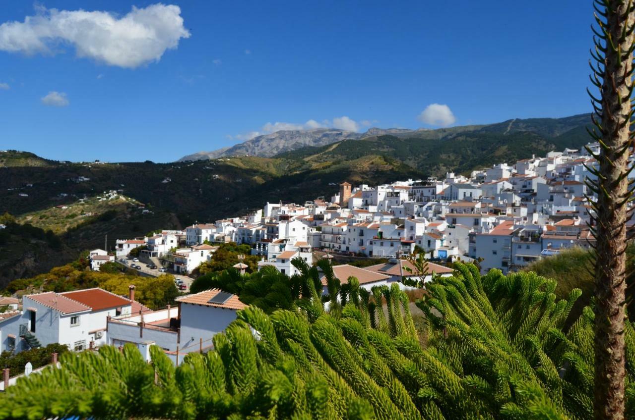 Posada La Plaza Canillas de Albaida Buitenkant foto